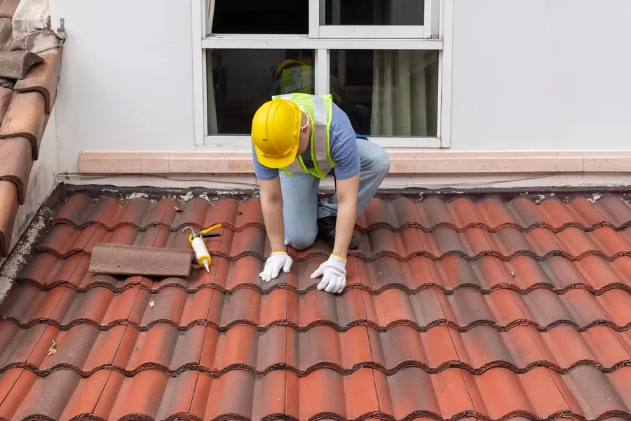 Roof Maintenance